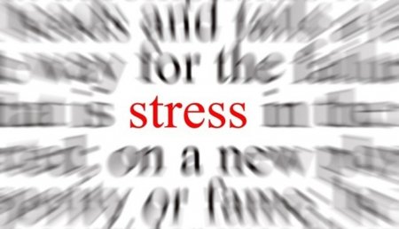 Uşaqların yüksək səviyyədə imtahan stressi yaşadığını hardan anlaya bilərik?
